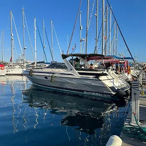 Boat In Botel